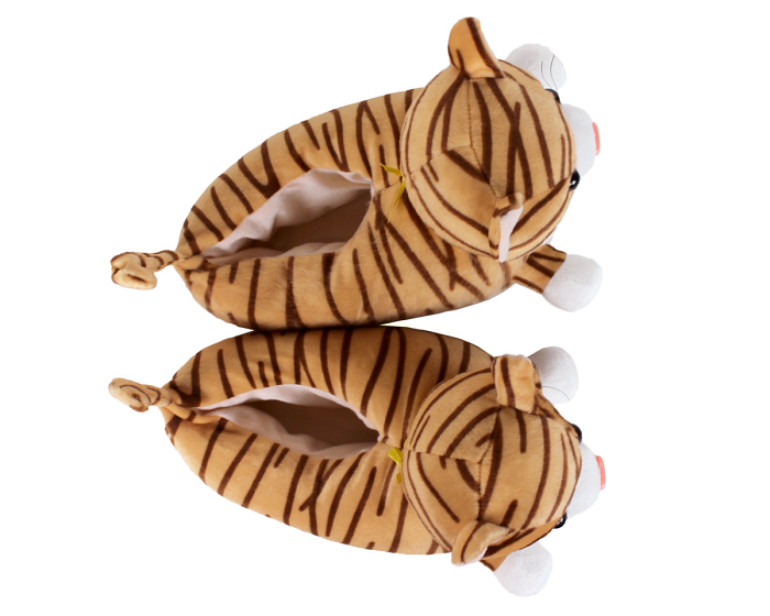 Tabby Cat Slippers Top View