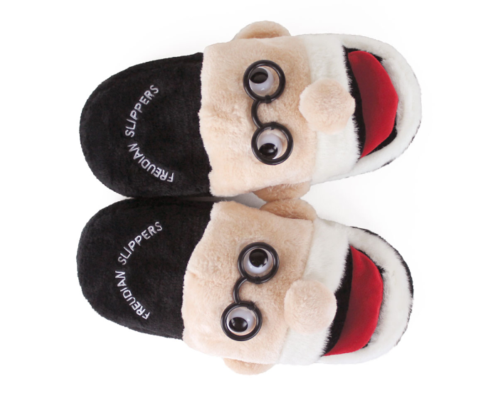 Freudian Slippers Top View