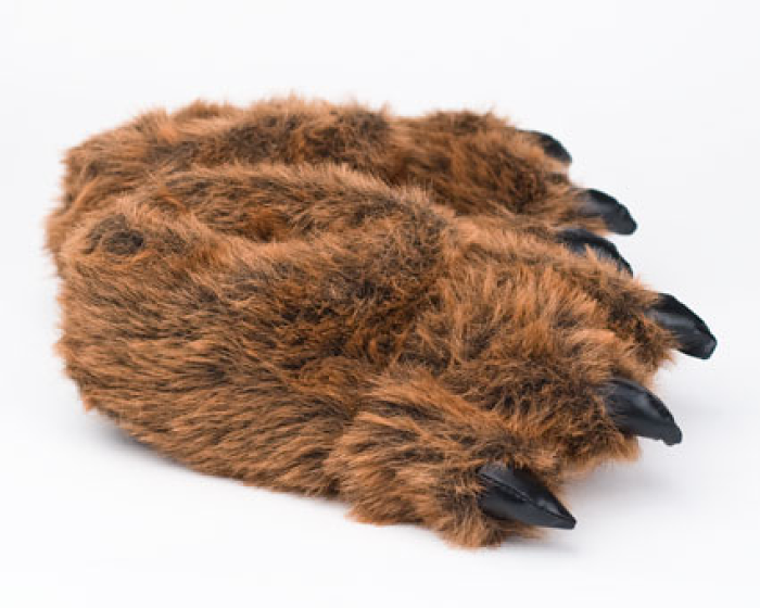 Bear Paw | Grizzly Bear Slipper | Bear Paw Slippers