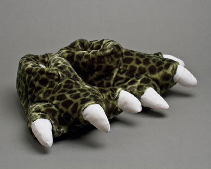 dinosaur feet pictures
