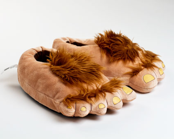 character slippers for adults