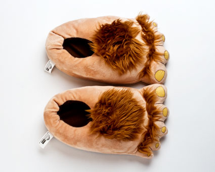 Furry Adventure Slippers 4