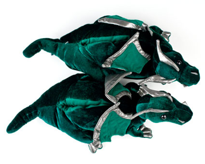 dragon slippers series dragon slippers series