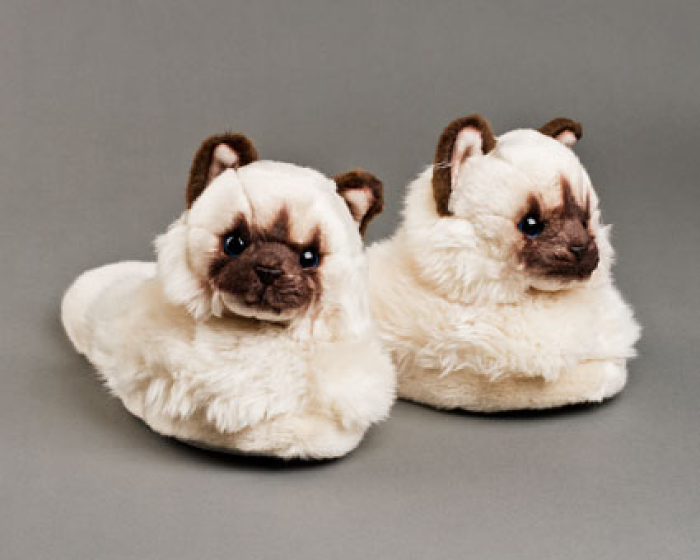 cute cat slippers