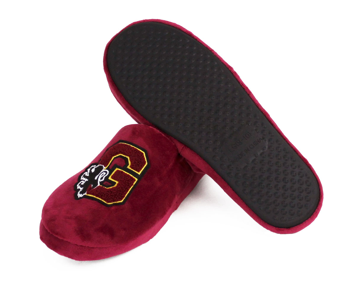 gryffindor slippers