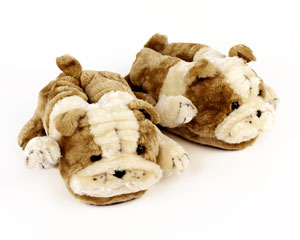 boston terrier slippers